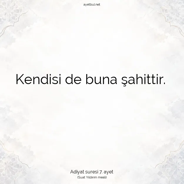 Ayetbul | Kuran Mealleri | Quran | Adiyat suresi 7. ayet