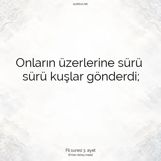 Ayetbul | Kuran Mealleri | Quran | Fil suresi 3. ayet