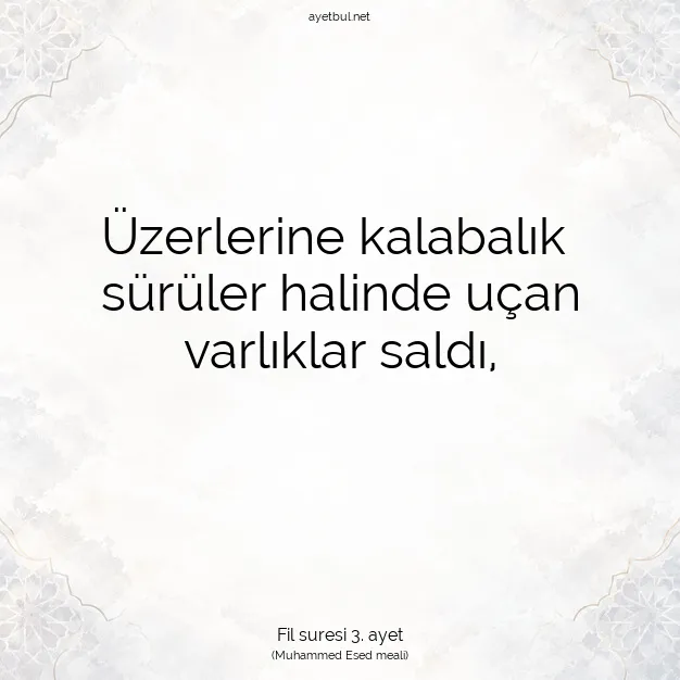 Ayetbul | Kuran Mealleri | Quran | Fil suresi 3. ayet