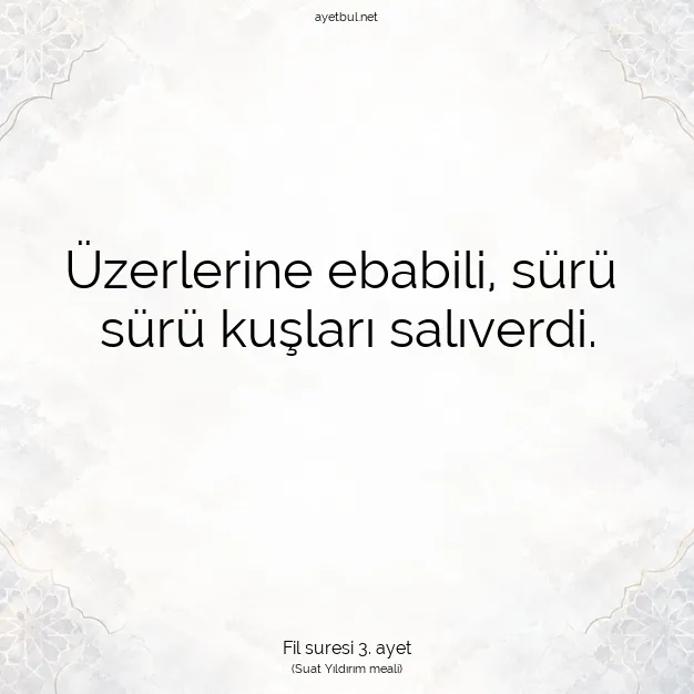 Ayetbul | Kuran Mealleri | Quran | Fil suresi 3. ayet