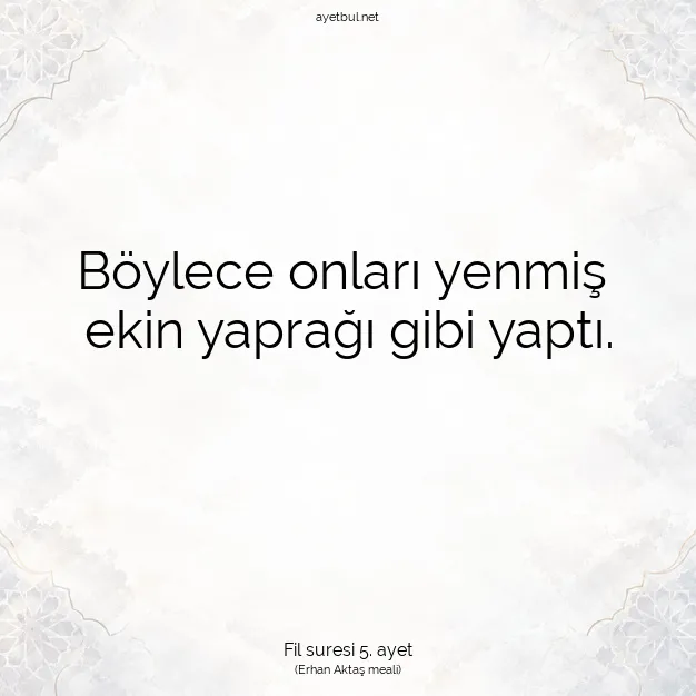 Ayetbul | Kuran Mealleri | Quran | Fil suresi 5. ayet