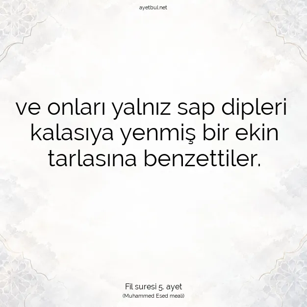 Ayetbul | Kuran Mealleri | Quran | Fil suresi 5. ayet