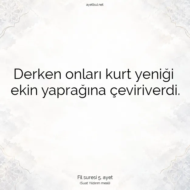 Ayetbul | Kuran Mealleri | Quran | Fil suresi 5. ayet