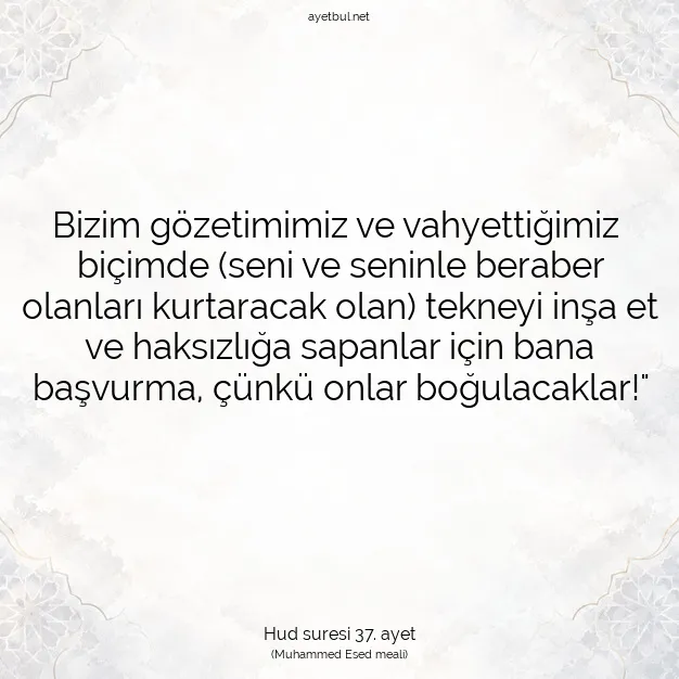 Ayetbul | Kuran Mealleri | Quran | Hud suresi 37. ayet