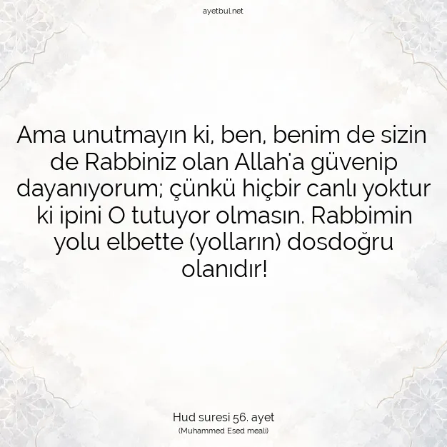 Ayetbul | Kuran Mealleri | Quran | Hud suresi 56. ayet