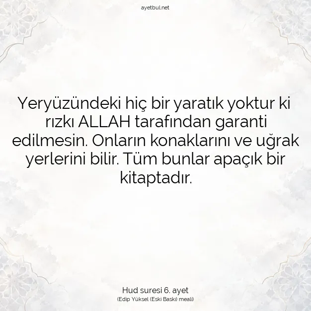 Ayetbul | Kuran Mealleri | Quran | Hud suresi 6. ayet