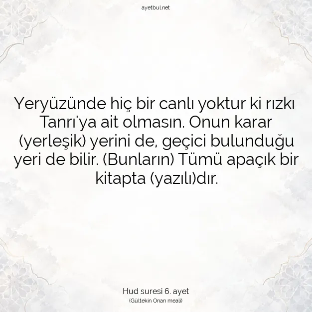 Ayetbul | Kuran Mealleri | Quran | Hud suresi 6. ayet