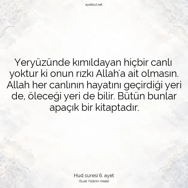 Ayetbul | Kuran Mealleri | Quran | Hud suresi 6. ayet