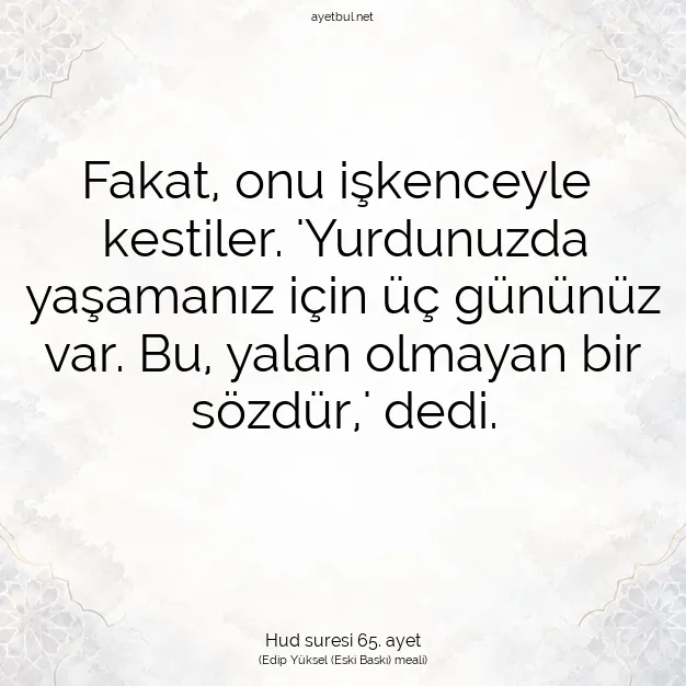 Ayetbul | Kuran Mealleri | Quran | Hud suresi 65. ayet