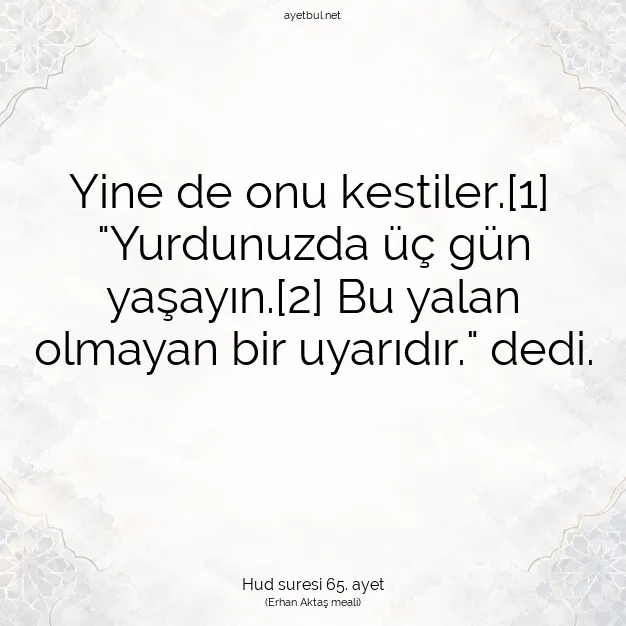 Ayetbul | Kuran Mealleri | Quran | Hud suresi 65. ayet