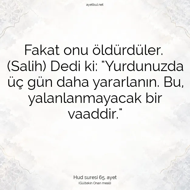 Ayetbul | Kuran Mealleri | Quran | Hud suresi 65. ayet