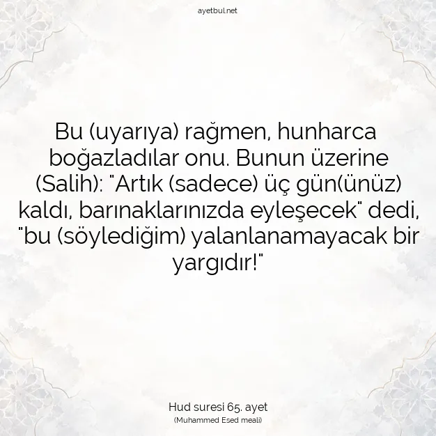 Ayetbul | Kuran Mealleri | Quran | Hud suresi 65. ayet