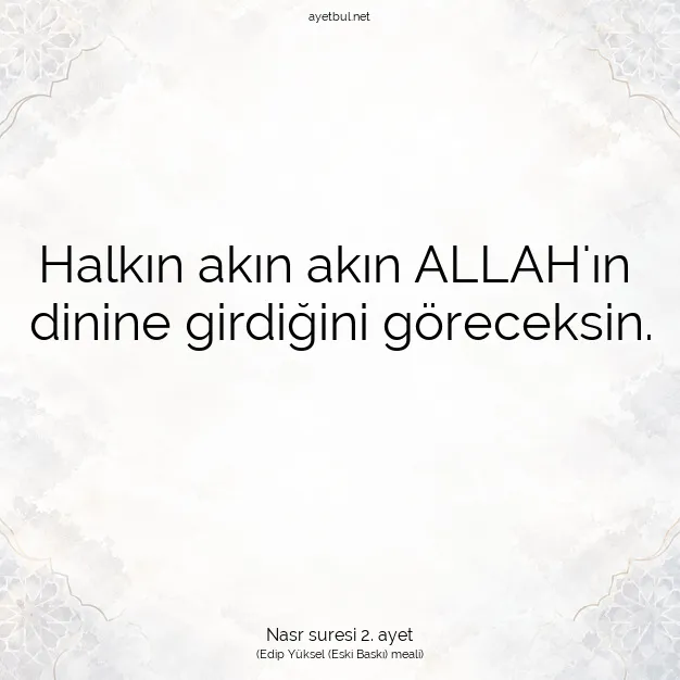 Ayetbul | Kuran Mealleri | Quran | Nasr suresi 2. ayet