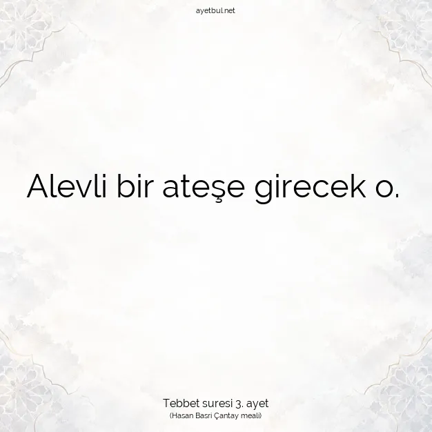 Ayetbul | Kuran Mealleri | Quran | Tebbet suresi 3. ayet