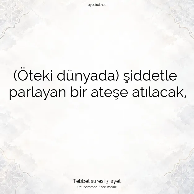 Ayetbul | Kuran Mealleri | Quran | Tebbet suresi 3. ayet
