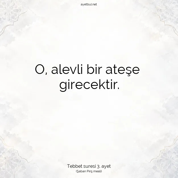 Ayetbul | Kuran Mealleri | Quran | Tebbet suresi 3. ayet
