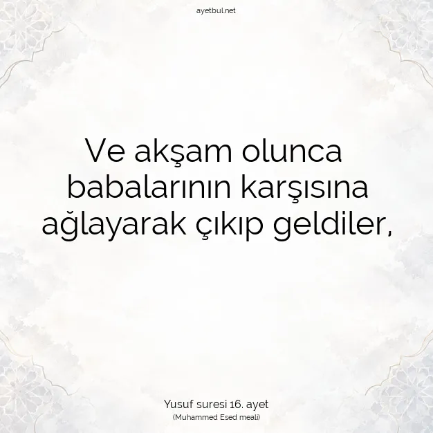 Ayetbul | Kuran Mealleri | Quran | Yusuf suresi 16. ayet