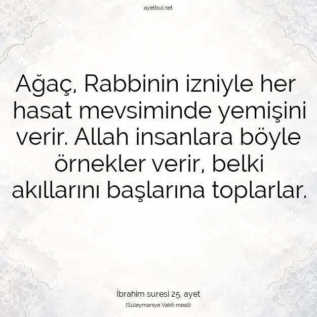 Ayetbul | Kuran Mealleri | Quran | İbrahim suresi 25. ayet