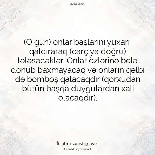 Ayetbul | Kuran Mealleri | Quran | İbrahim suresi 43. ayet