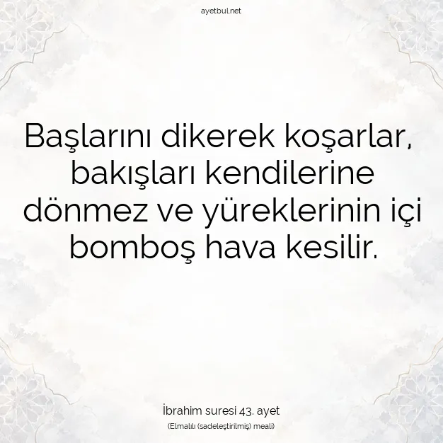 Ayetbul | Kuran Mealleri | Quran | İbrahim suresi 43. ayet