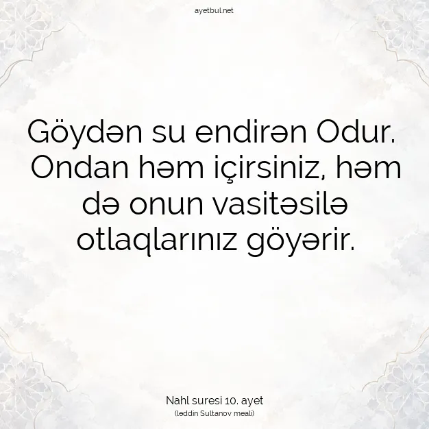Ayetbul | Kuran Mealleri | Quran | Nahl suresi 10. ayet