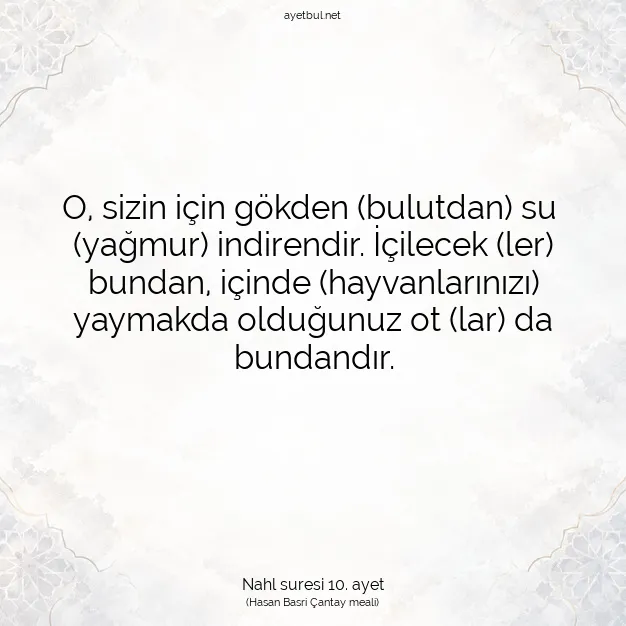 Ayetbul | Kuran Mealleri | Quran | Nahl suresi 10. ayet