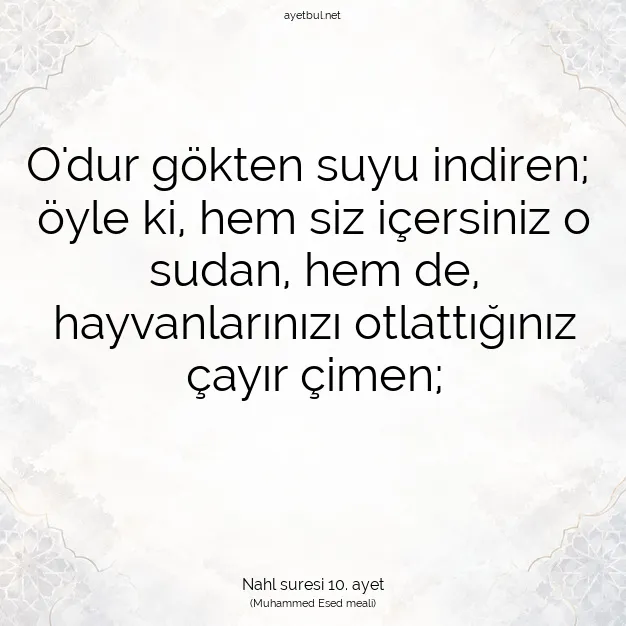 Ayetbul | Kuran Mealleri | Quran | Nahl suresi 10. ayet