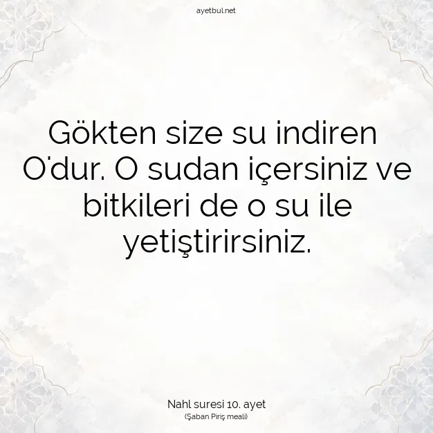 Ayetbul | Kuran Mealleri | Quran | Nahl suresi 10. ayet
