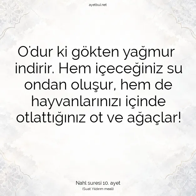 Ayetbul | Kuran Mealleri | Quran | Nahl suresi 10. ayet
