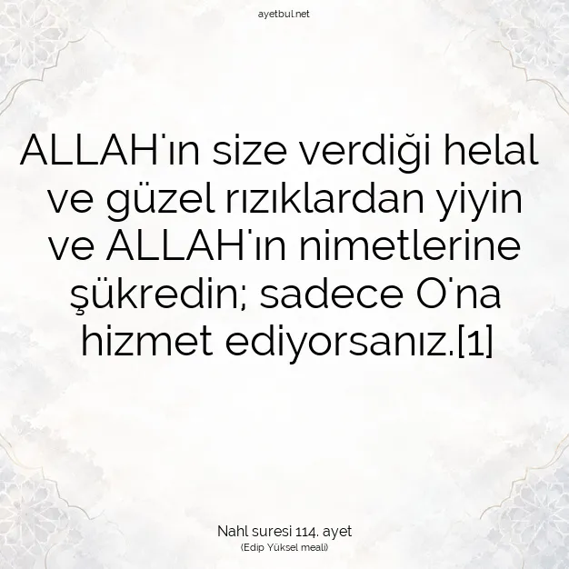 Ayetbul | Kuran Mealleri | Quran | Nahl suresi 114. ayet