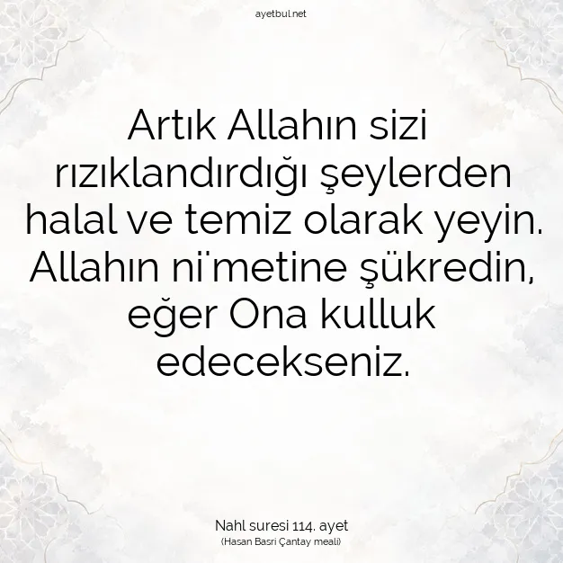 Ayetbul | Kuran Mealleri | Quran | Nahl suresi 114. ayet