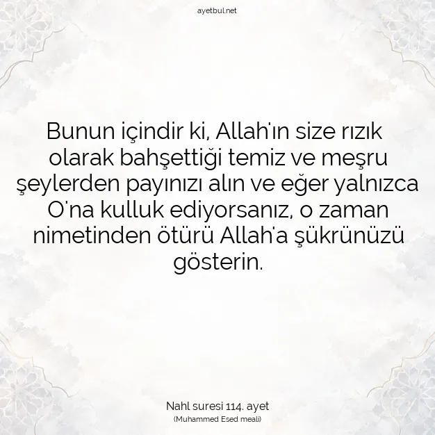 Ayetbul | Kuran Mealleri | Quran | Nahl suresi 114. ayet