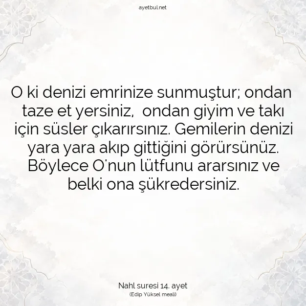 Ayetbul | Kuran Mealleri | Quran | Nahl suresi 14. ayet