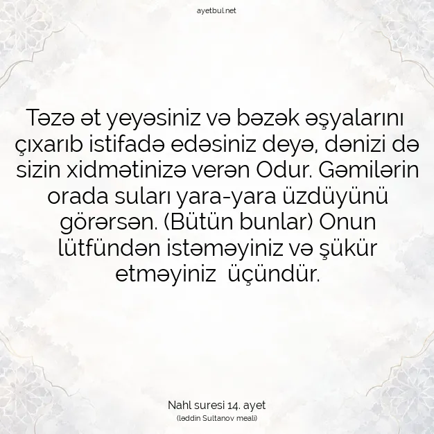 Ayetbul | Kuran Mealleri | Quran | Nahl suresi 14. ayet