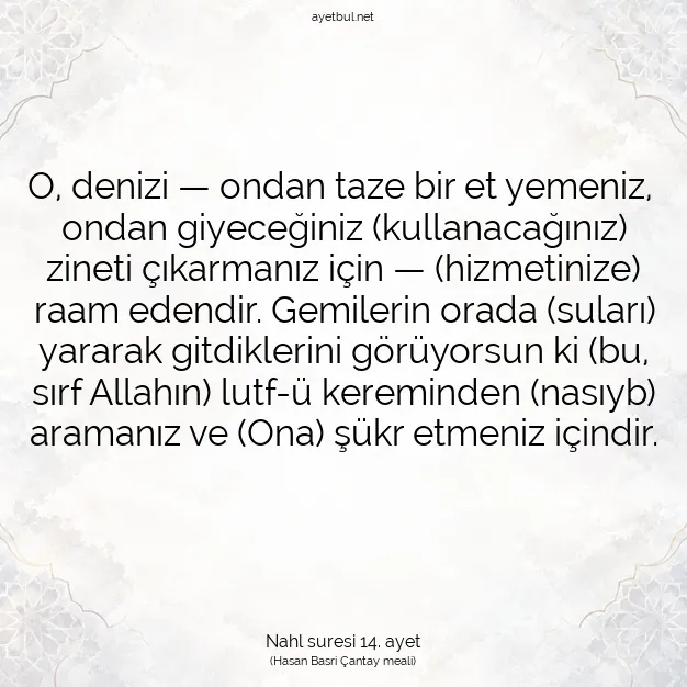 Ayetbul | Kuran Mealleri | Quran | Nahl suresi 14. ayet