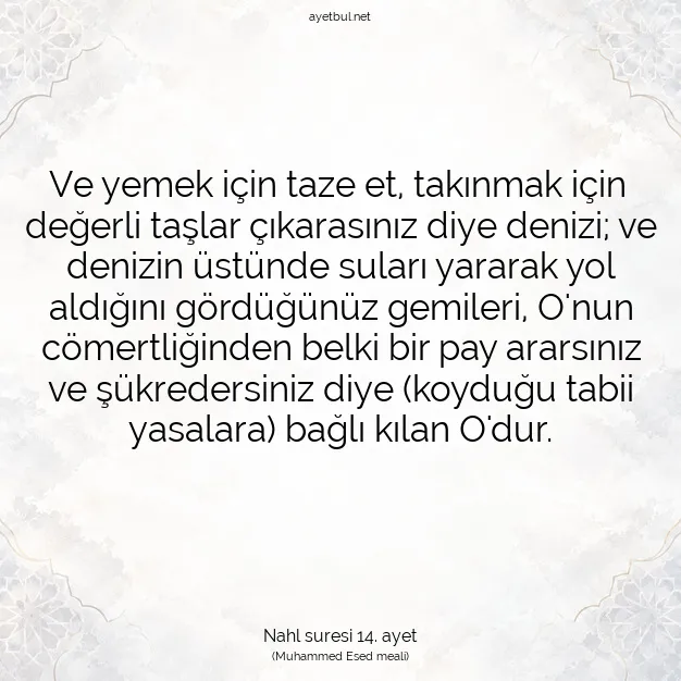 Ayetbul | Kuran Mealleri | Quran | Nahl suresi 14. ayet