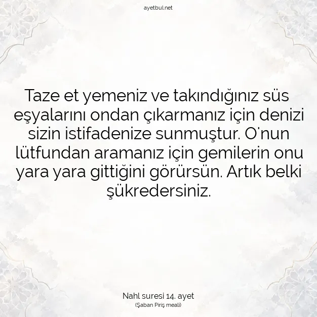 Ayetbul | Kuran Mealleri | Quran | Nahl suresi 14. ayet