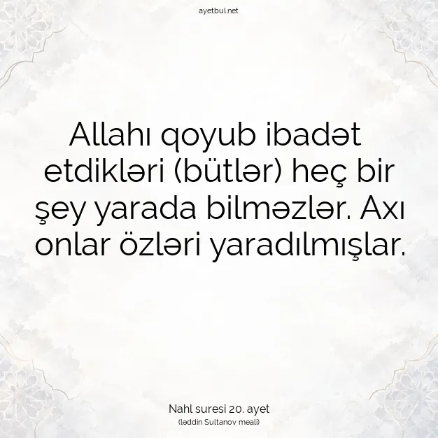 Ayetbul | Kuran Mealleri | Quran | Nahl suresi 20. ayet