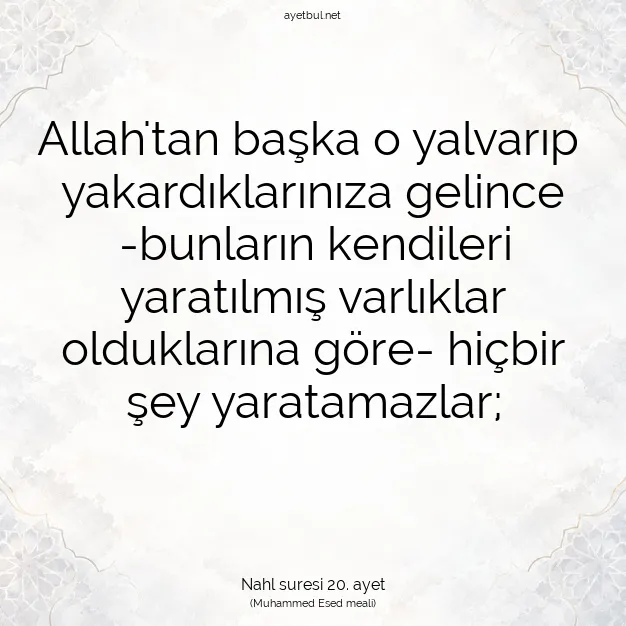 Ayetbul | Kuran Mealleri | Quran | Nahl suresi 20. ayet