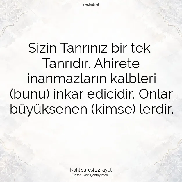 Ayetbul | Kuran Mealleri | Quran | Nahl suresi 22. ayet