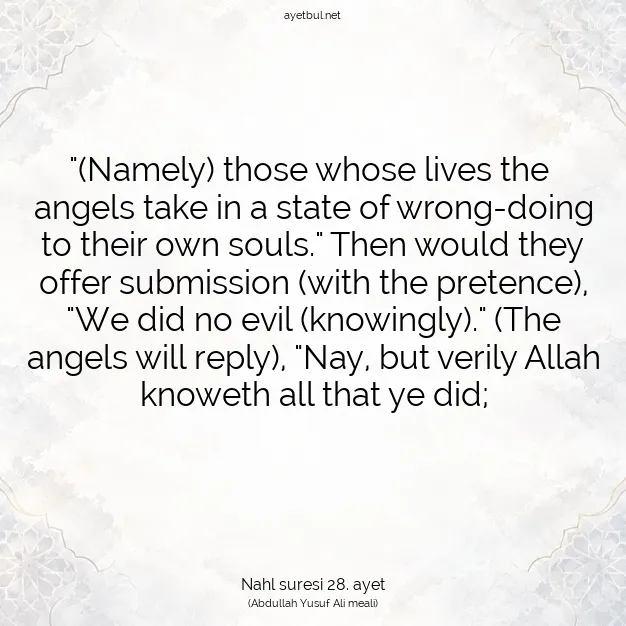 Ayetbul | Kuran Mealleri | Quran | Nahl suresi 28. ayet