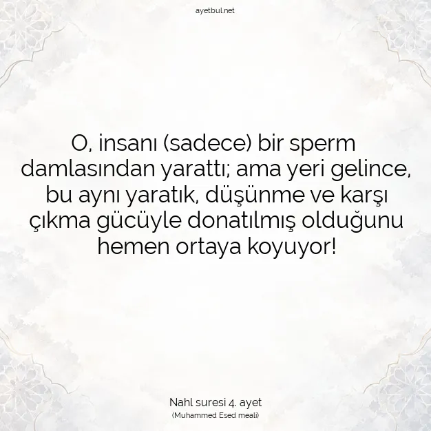 Ayetbul | Kuran Mealleri | Quran | Nahl suresi 4. ayet