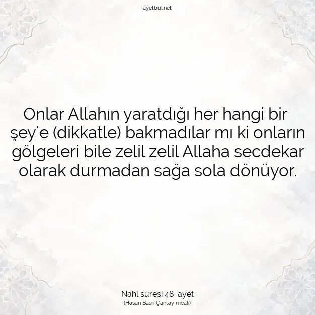 Ayetbul | Kuran Mealleri | Quran | Nahl suresi 48. ayet