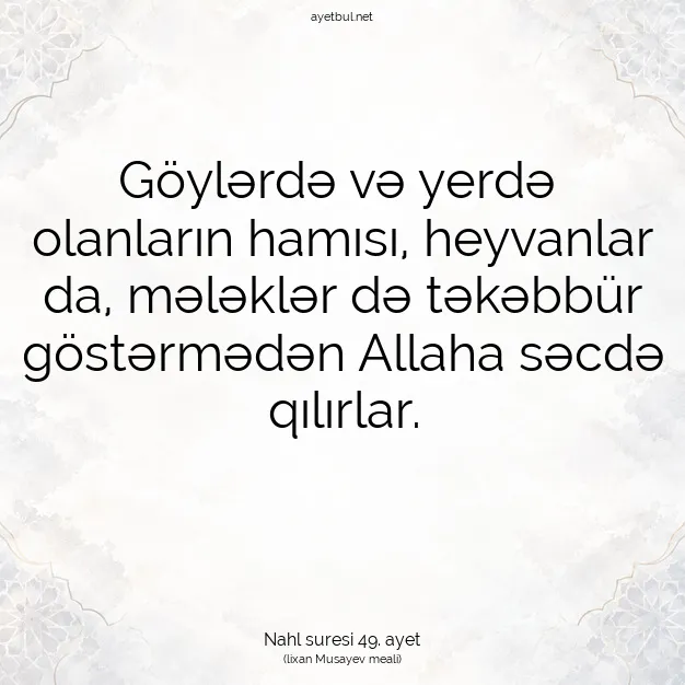 Ayetbul | Kuran Mealleri | Quran | Nahl suresi 49. ayet