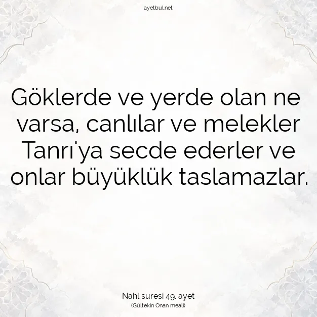 Ayetbul | Kuran Mealleri | Quran | Nahl suresi 49. ayet