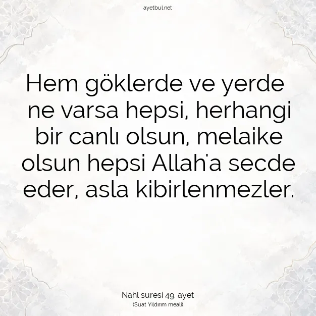 Ayetbul | Kuran Mealleri | Quran | Nahl suresi 49. ayet