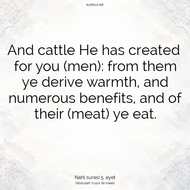 Ayetbul | Kuran Mealleri | Quran | Nahl suresi 5. ayet
