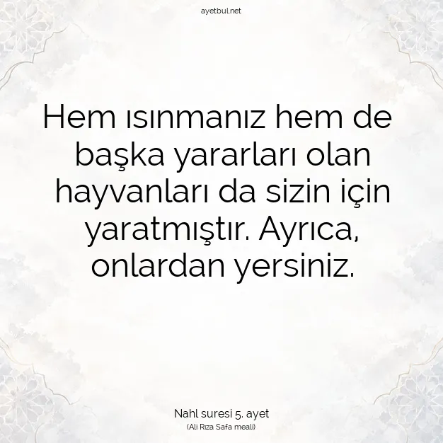 Ayetbul | Kuran Mealleri | Quran | Nahl suresi 5. ayet