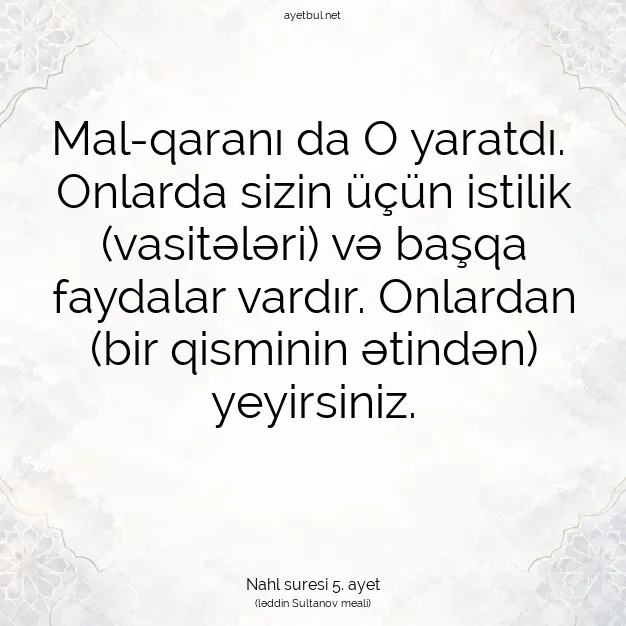 Ayetbul | Kuran Mealleri | Quran | Nahl suresi 5. ayet