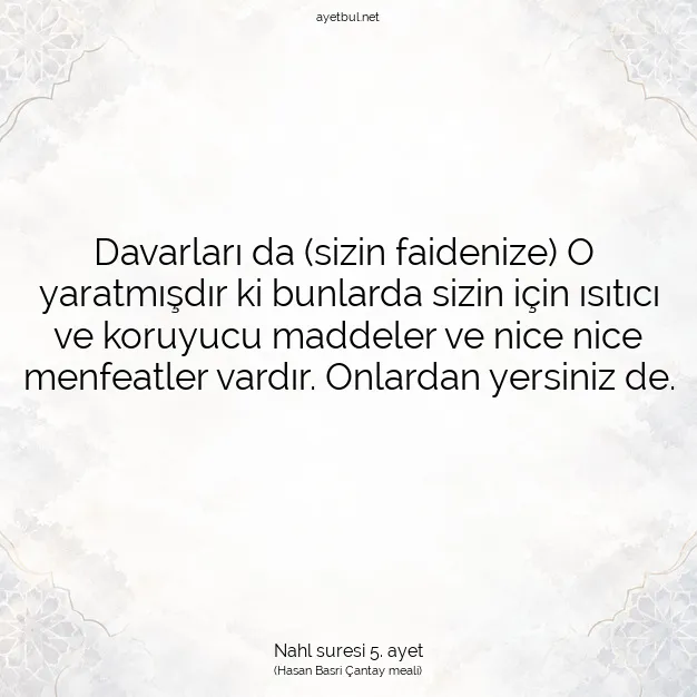 Ayetbul | Kuran Mealleri | Quran | Nahl suresi 5. ayet